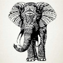 Elefante