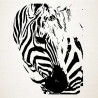 Zebër