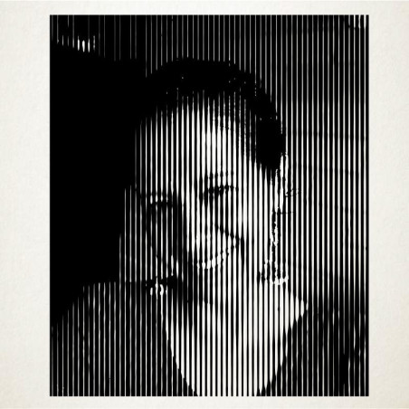 Los retratos en vinilo son una novedosa manera de decorar. Retrato en Vinilo Adhesivo de alta calidad