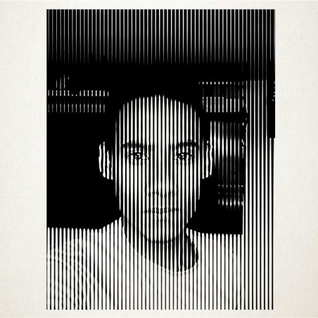 Retratos en vinilo adhesivo totalmente personalizables. Un regalo unico. Desde 30000$